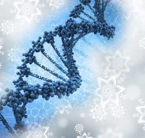 family DNA profiling 2